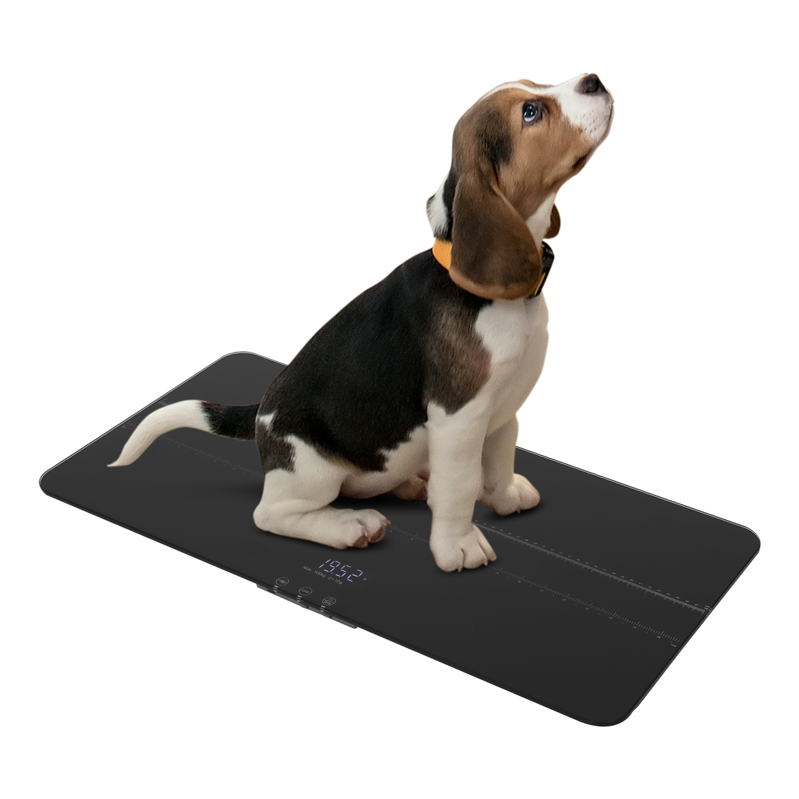 220 lbs electronic scale with scale - black