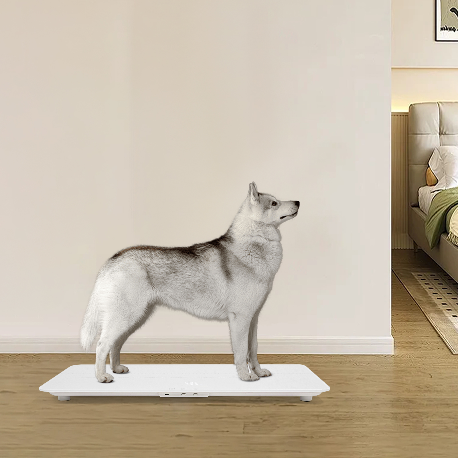 220 lbs electronic scale with scale - white