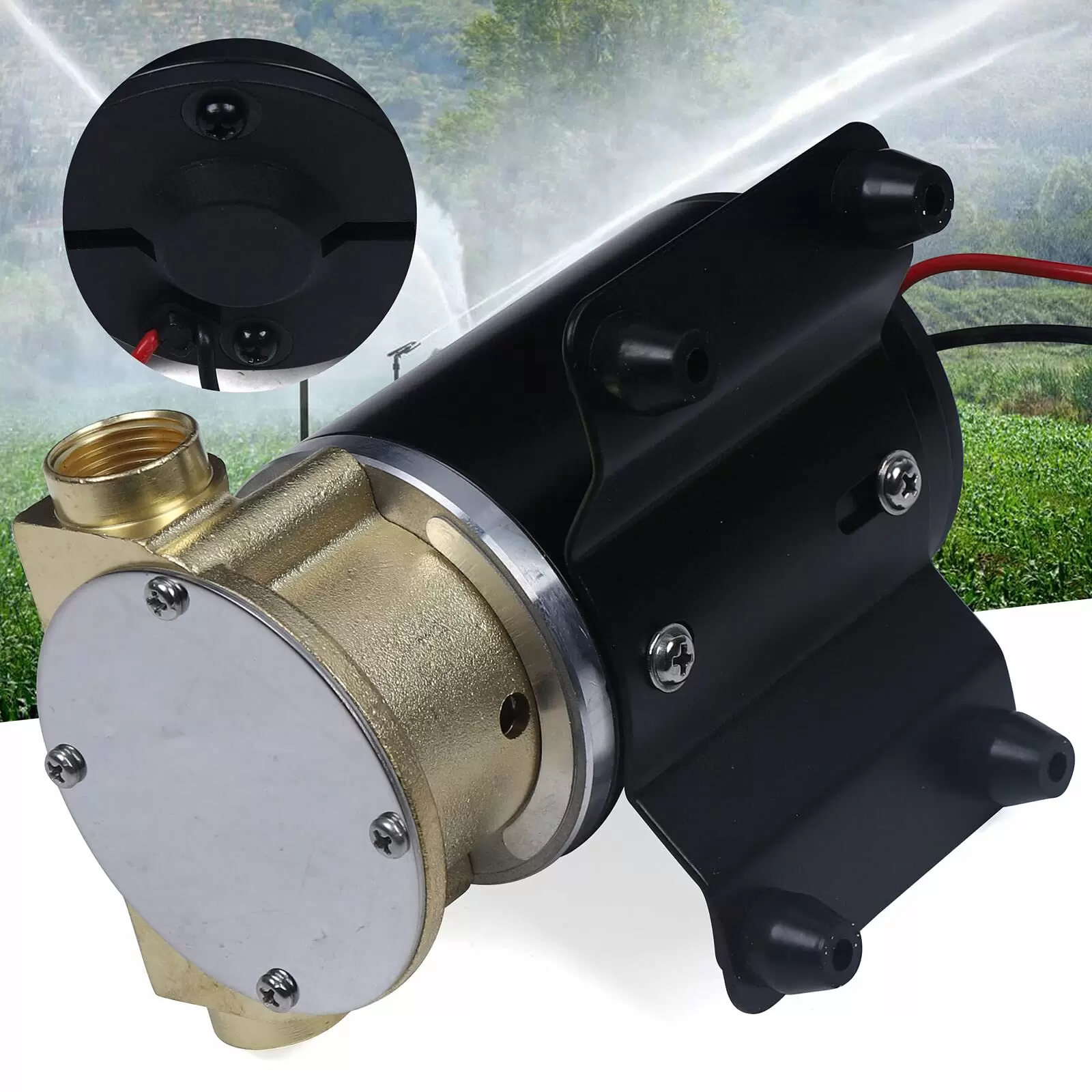 Deck Washing Pump Submersible Pump Diaphragm Pump Diaphragm Pump On-Board Water Tank 12 V for Shower Home Garden Irrigation Deck Washing Pump Submersible Pump Diaphragm Pump Diaphragm Pump On-Board Water Tank 12 V for Shower Home Garden Irrigation