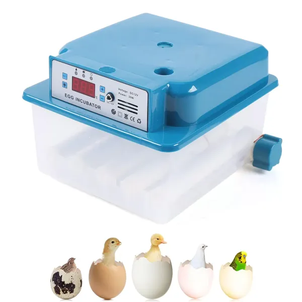 Fully Automatic 16 Egg Incubator Dual Power Supply Intelligent Incubator Small Automatic Temperature Regulation Water Heater 30W 21 x 24 x 18 cm