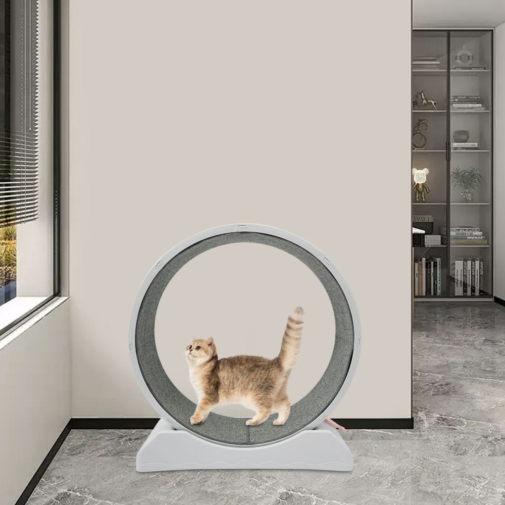 Cat Wheel Cat Wheel With Stop Sports Cat Running Wheel And ...