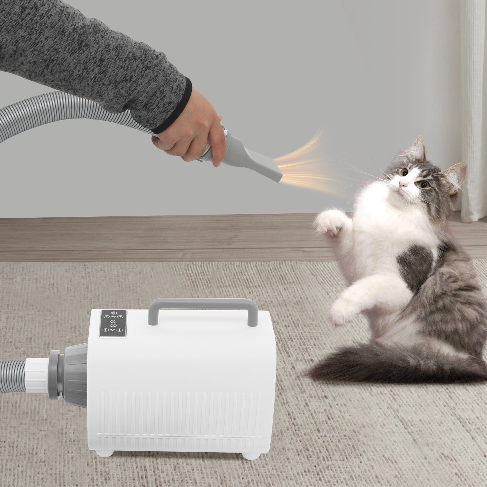 Dog hair dryer, dog grooming dryer, dryer for pets Dog hair dryer, dog grooming dryer, dryer for pets