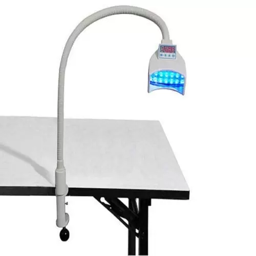 Tooth Lamp LED Display Whitening Cold Light Dental Teeth Machine Dental Teeth Whitening Lamp