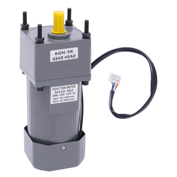 250W Electric Single-Phase Motor Reversible Motor with Variable Speed Adjustable Controller Governor Geared Motor 220V