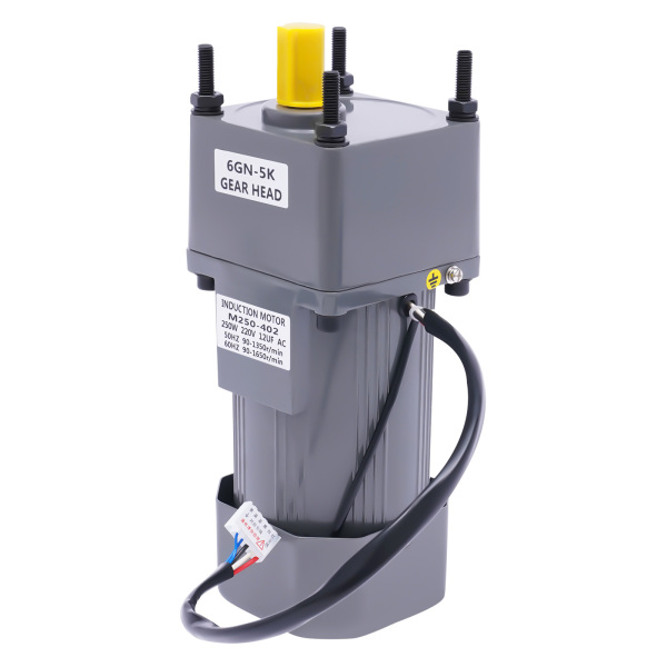 250W Electric Single-Phase Motor Reversible Motor with Variable Speed Adjustable Controller Governor Geared Motor 220V