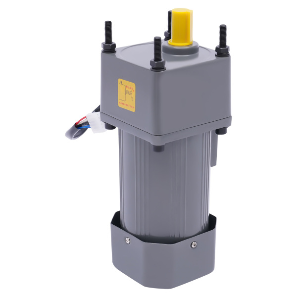 250W Electric Single-Phase Motor Reversible Motor with Variable Speed Adjustable Controller Governor Geared Motor 220V