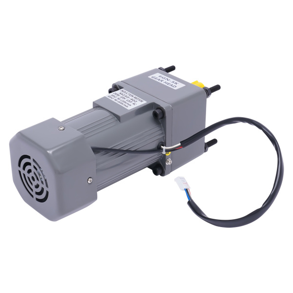 250W Electric Single-Phase Motor Reversible Motor with Variable Speed Adjustable Controller Governor Geared Motor 220V
