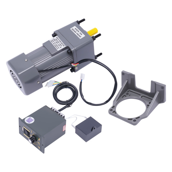 250W Electric Single-Phase Motor Reversible Motor with Variable Speed Adjustable Controller Governor Geared Motor 220V