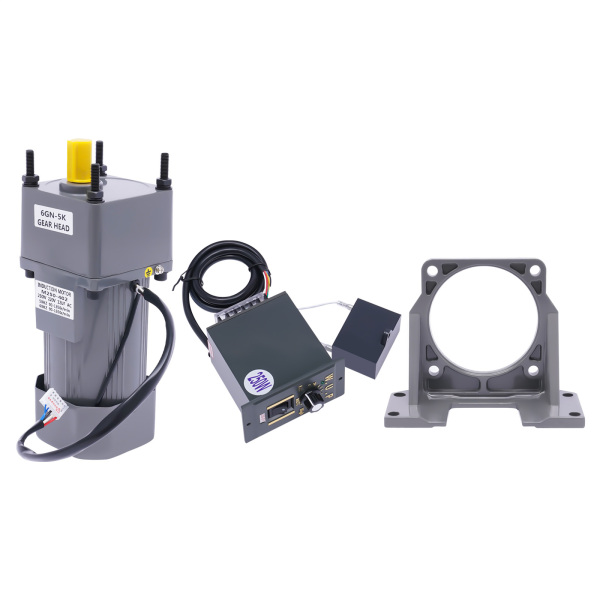 250W Electric Single-Phase Motor Reversible Motor with Variable Speed Adjustable Controller Governor Geared Motor 220V