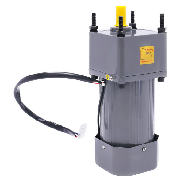250W Electric Single-Phase Motor Reversible Motor with Variable Speed Adjustable Controller Governor Geared Motor 220V
