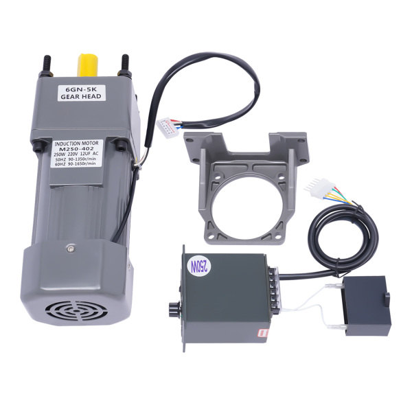 250W Electric Single-Phase Motor Reversible Motor with Variable Speed Adjustable Controller Governor Geared Motor 220V