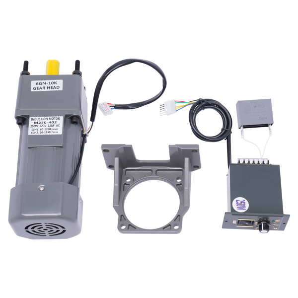 AC Adjustable Speed Motor 220V 250W Frequency Inverter Motor with Gear Controller and Bracket(10K)