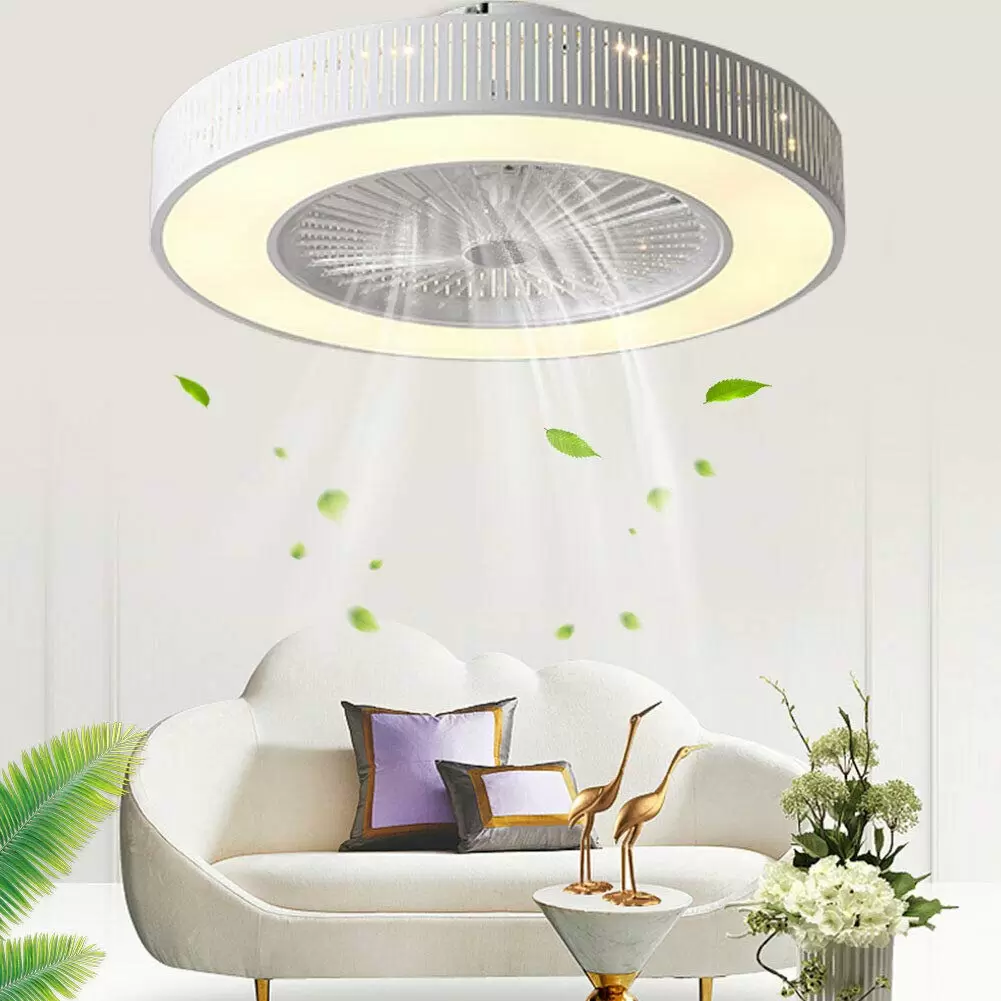 Ceiling Fan with LED Lighting 220V Adjustable Wind Speed Remote Control 32W Modern Lamp for Bedroom Office (Hollow)