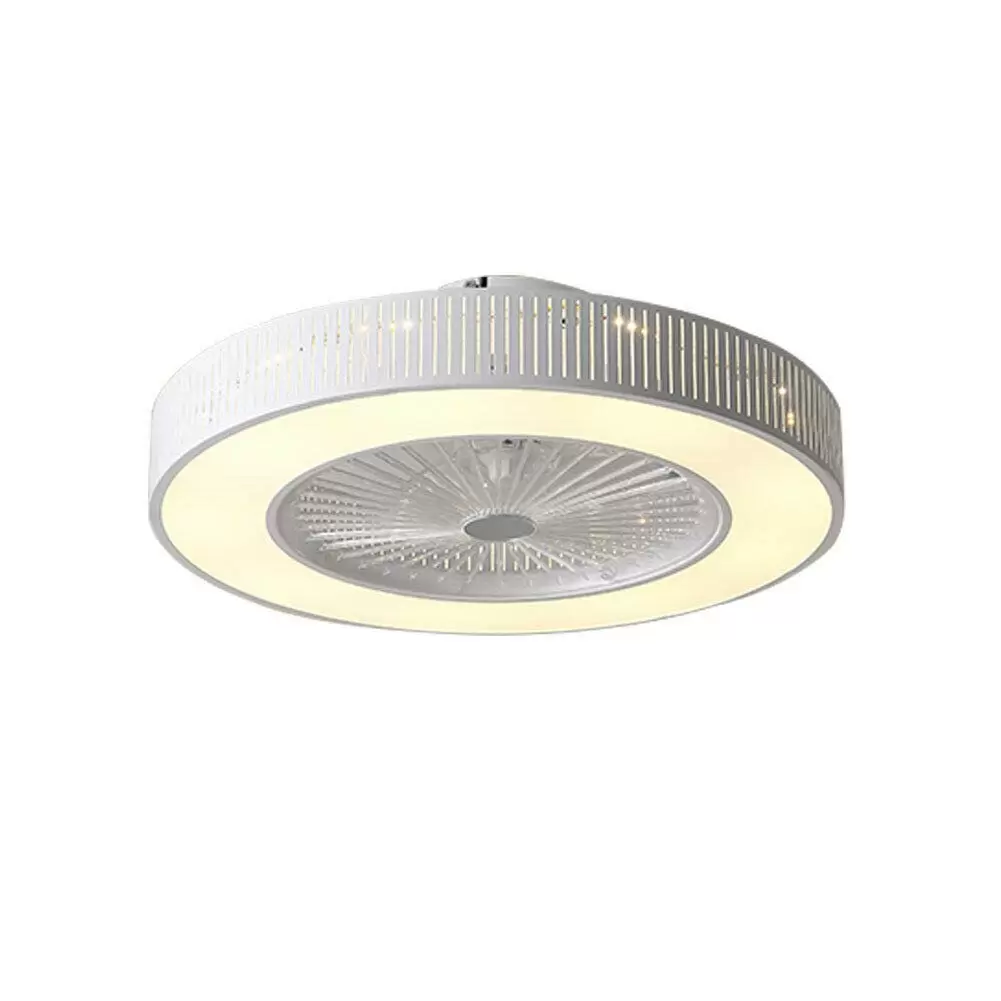 Ceiling Fan with LED Lighting 220V Adjustable Wind Speed Remote Control 32W Modern Lamp for Bedroom Office (Hollow)