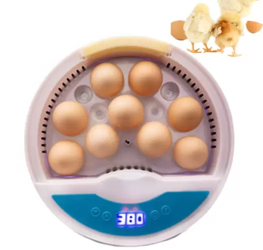 Fully Automatic 9 Egg Incubator with LED Temperature Display and Humidity Regulation for Poultry Eggs