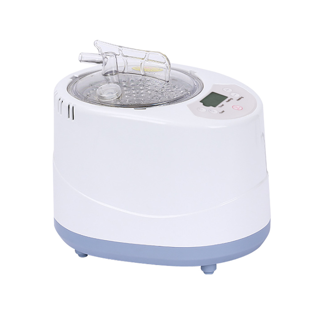 Sauna Steam Machine, Sauna Steamer 3 L, Portable Sauna Steamer, Intelligent Control, 1000W