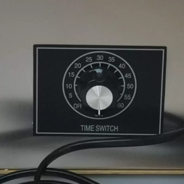 Air Purifier 20 g Ozonizer Ozone Generator with Timer Ozone Device 220 V