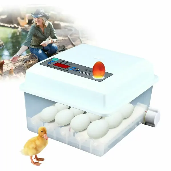 Fully Automatic Egg Incubator 16 Eggs Digita Mini Automatic Incubatores with Turner for Hatching Turkey Goose Quail Chicken Eggs Fully Automatic Egg Incubator 16 Eggs Digita Mini Automatic Incubatores with Turner for Hatching Turkey Goose Quail Chicken Eggs