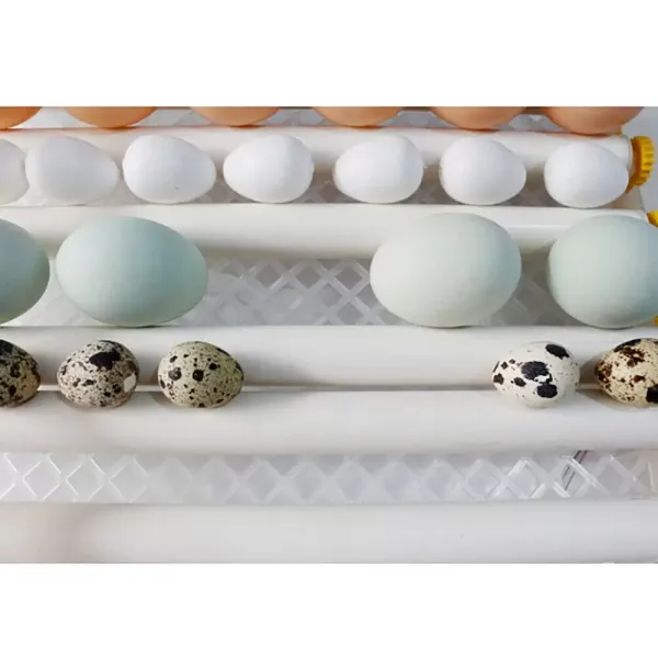 Fully Automatic Egg Incubator 16 Eggs Digita Mini Automatic Incubatores with Turner for Hatching Turkey Goose Quail Chicken Eggs