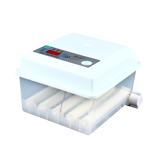 Fully Automatic Egg Incubator 16 Eggs Digita Mini Automatic Incubatores with Turner for Hatching Turkey Goose Quail Chicken Eggs