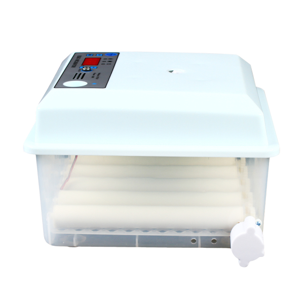 Fully Automatic Egg Incubator 16 Eggs Digita Mini Automatic Incubatores with Turner for Hatching Turkey Goose Quail Chicken Eggs