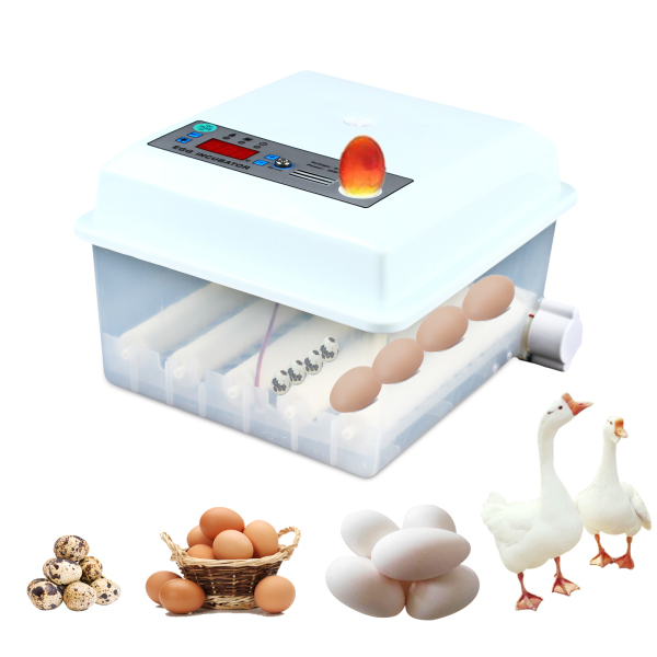 Fully Automatic Egg Incubator 16 Eggs Digita Mini Automatic Incubatores with Turner for Hatching Turkey Goose Quail Chicken Eggs