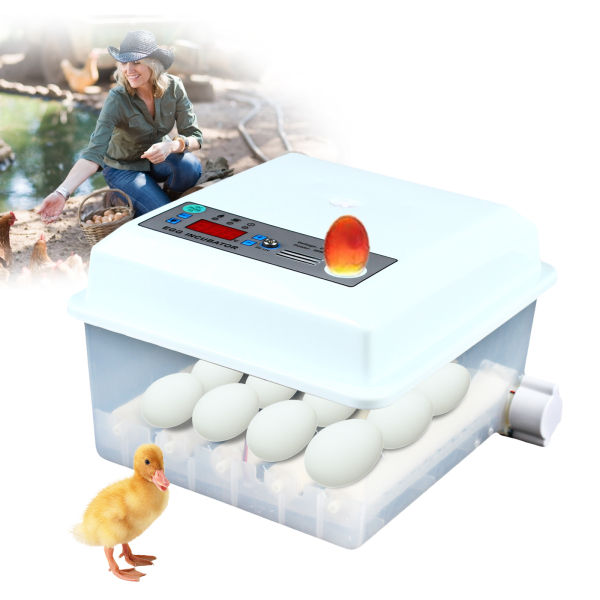 Fully Automatic Egg Incubator 16 Eggs Digita Mini Automatic Incubatores with Turner for Hatching Turkey Goose Quail Chicken Eggs Fully Automatic Egg Incubator 16 Eggs Digita Mini Automatic Incubatores with Turner for Hatching Turkey Goose Quail Chicken Eggs