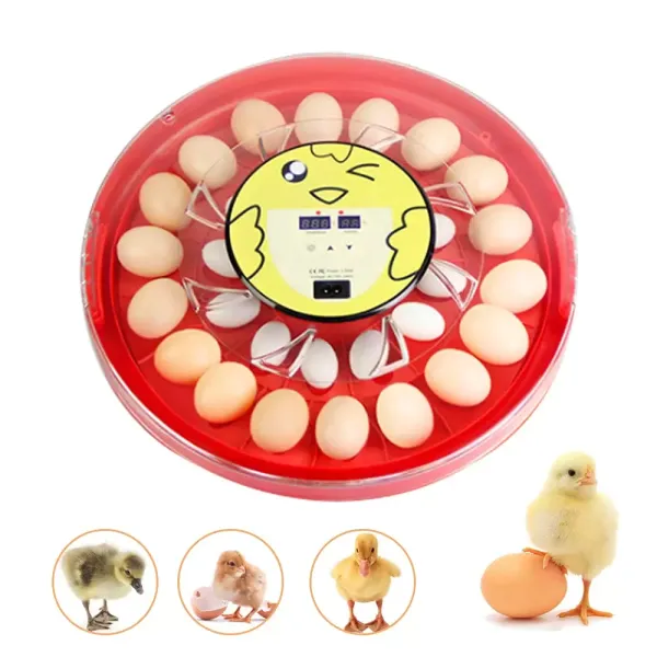 Fully Automatic 30 Egg Incubator Round Digital Hatcher with automatic temperature control Suitable For Incubating Chicken Duck Pigeon Quail Eggs Fully Automatic 30 Egg Incubator Round Digital Hatcher with automatic temperature control Suitable For Incubating Chicken Duck Pigeon Quail Eggs