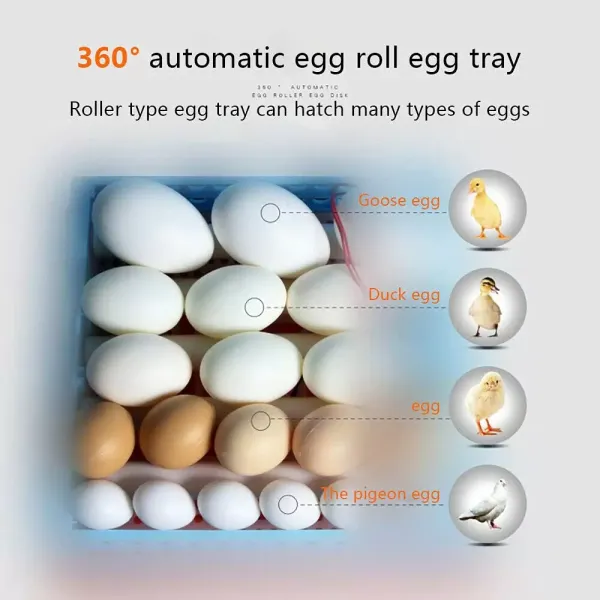 CNCEST-Fully Automatic 24 Egg Incubator - High Quality Automatic Turning Digital Display Egg Incubator Hatching Machine Good Growth Environment CNCEST-Fully Automatic 24 Egg Incubator - High Quality Automatic Turning Digital Display Egg Incubator Hatching Machine Good Growth Environment