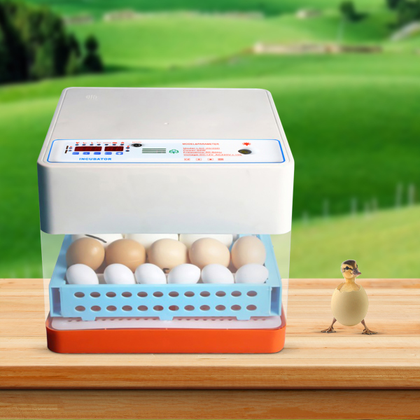 CNCEST-Fully Automatic 24 Egg Incubator - High Quality Automatic Turning Digital Display Egg Incubator Hatching Machine Good Growth Environment CNCEST-Fully Automatic 24 Egg Incubator - High Quality Automatic Turning Digital Display Egg Incubator Hatching Machine Good Growth Environment