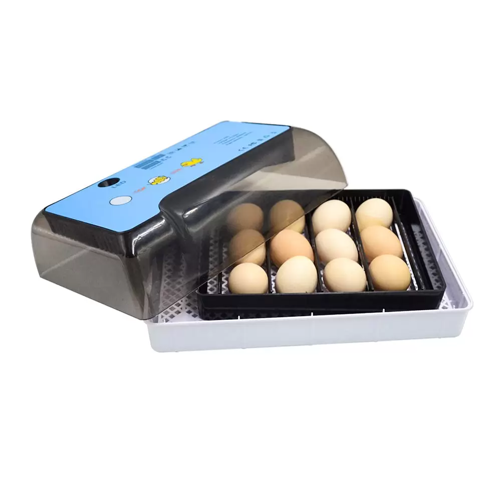12 Eggs Fully Automatic Breeding Machine Brooder Surface Breeder Incubator 12 Egg Incubator Quail Duck Goose Hatcher Digital Automatic Turner Temp Control 12 Eggs Fully Automatic Breeding Machine Brooder Surface Breeder Incubator 12 Egg Incubator Quail Duck Goose Hatcher Digital Automatic Turner Temp Control