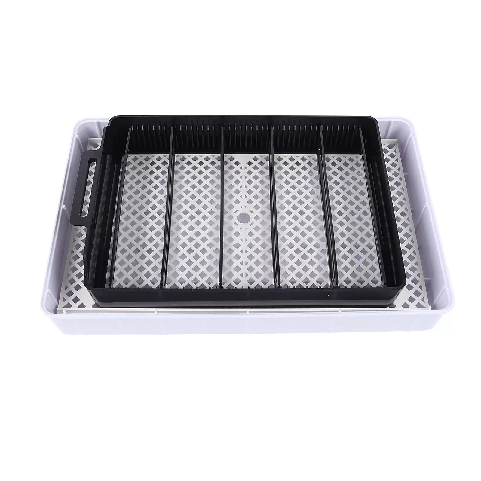 12 Eggs Fully Automatic Breeding Machine Brooder Surface Breeder Incubator 12 Egg Incubator Quail Duck Goose Hatcher Digital Automatic Turner Temp Control 12 Eggs Fully Automatic Breeding Machine Brooder Surface Breeder Incubator 12 Egg Incubator Quail Duck Goose Hatcher Digital Automatic Turner Temp Control