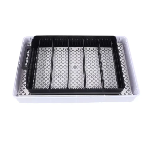 12 Eggs Fully Automatic Breeding Machine Brooder Surface Breeder Incubator 12 Egg Incubator Quail Duck Goose Hatcher Digital Automatic Turner Temp Control