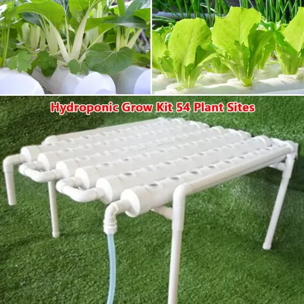 Hydroponic Grow Kit 54 Holes Hydroponic PVC Tube 6 Tubes Garden Plant System Internal Circulation Thickening Joint for Leafy Vegetables Hydroponic Grow Kit 54 Holes Hydroponic PVC Tube 6 Tubes Garden Plant System Internal Circulation Thickening Joint for Leafy Vegetables