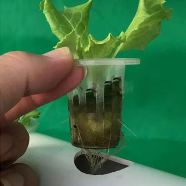 Hydroponic Grow Kit 54 Holes Hydroponic PVC Tube 6 Tubes Garden Plant System Internal Circulation Thickening Joint for Leafy Vegetables Hydroponic Grow Kit 54 Holes Hydroponic PVC Tube 6 Tubes Garden Plant System Internal Circulation Thickening Joint for Leafy Vegetables
