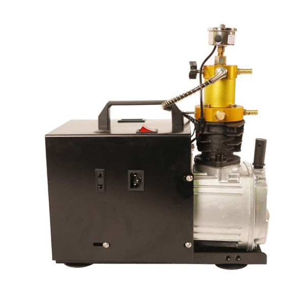 CNCEST PCP Air Compressor Electric Pump 4500PSI Air Pump 1.8KW Air Compressor Pump 220V 50hz Pressure Air Pump Diving Pump