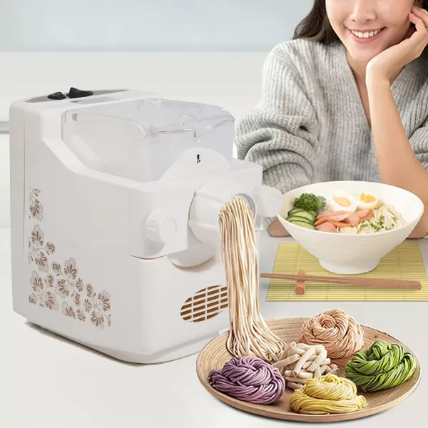 Electric Pasta Machine Fully Automatic Pasta Machine 500g Capacity Multifunctional Household Noodle Machine with 9-type Pasta Dish