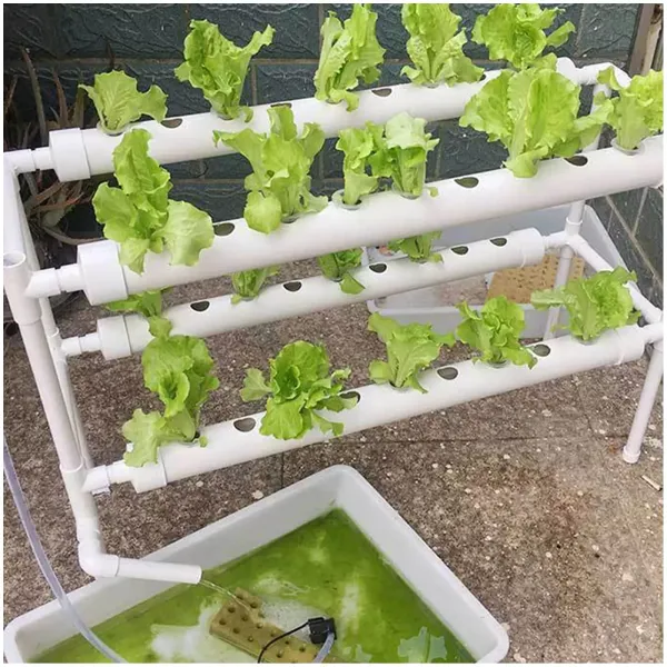 36 Holes Hydroponic Grow Kit 4 Tubes - 2 Layers Hydroponic Growing System