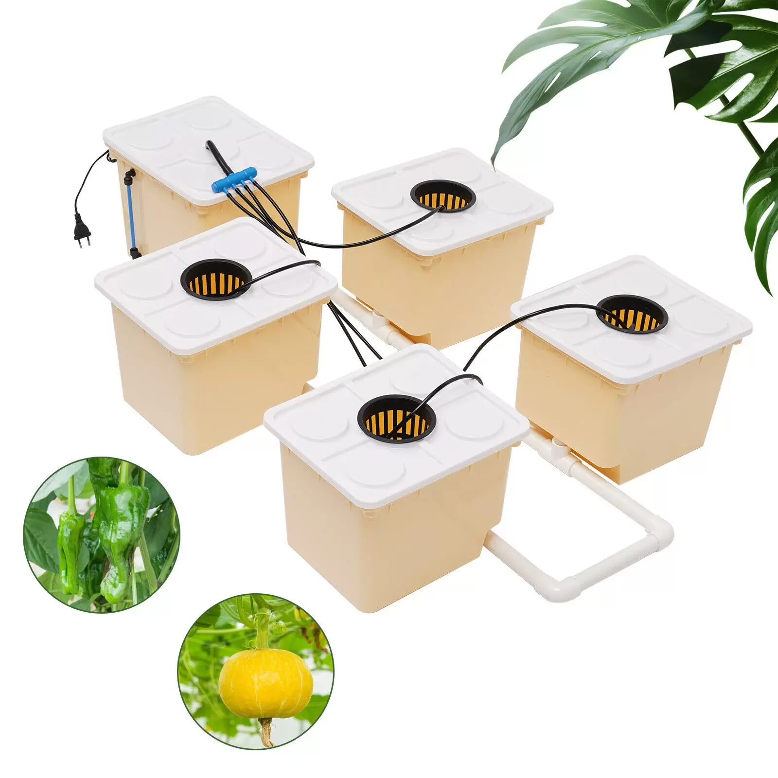 Hydroponic growing system for indoor, soilless hydroponic growing system