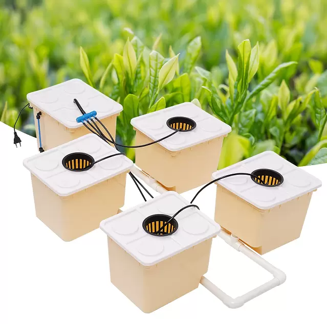 Hydroponic growing system for indoor, soilless hydroponic growing system