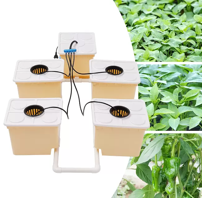 Hydroponic growing system for indoor, soilless hydroponic growing system