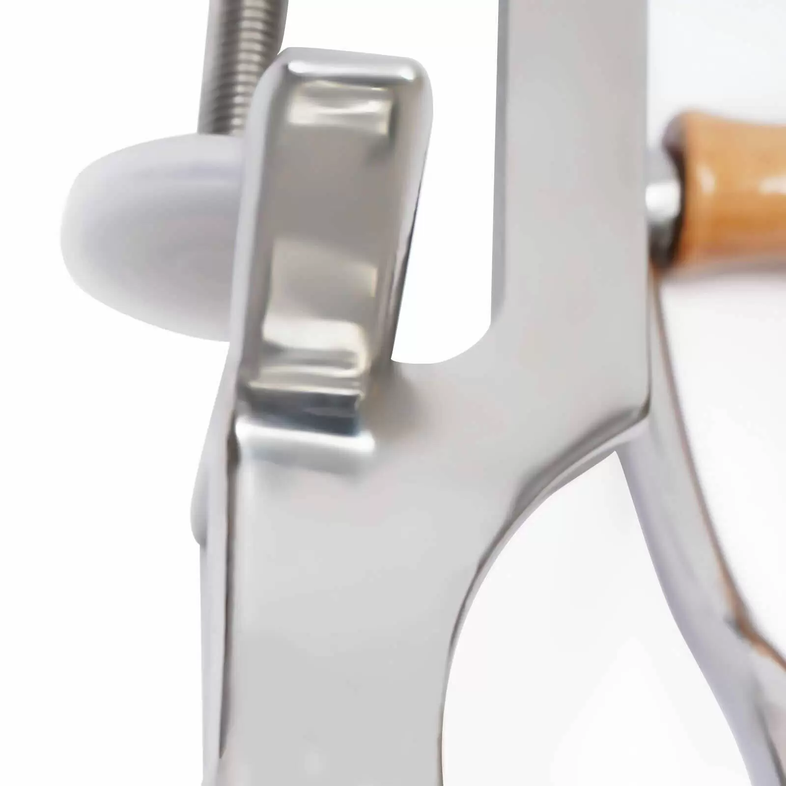 Manual Fruit Juicer, Stainless Steel Fruit and Vegetable Squeezer, Juice Extractor for Kitchen
