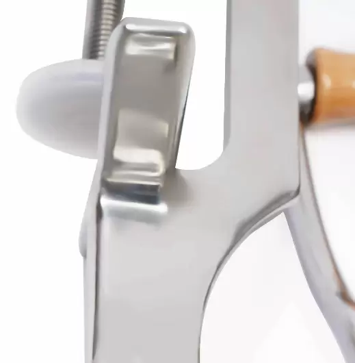 Manual Fruit Juicer, Stainless Steel Fruit and Vegetable Squeezer, Juice Extractor for Kitchen