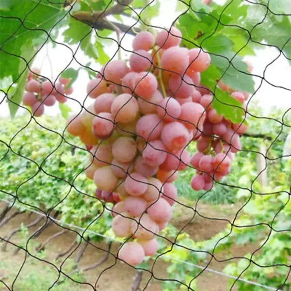 CNCEST 30X15M Bird Protection Netting Protects Fruit Trees From Damage Used As Orchard Netting Vegetable Garden Netting Garden Netting