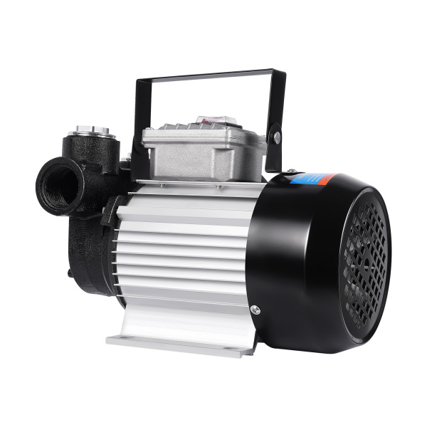 2800 Rpm Self-Priming Diesel Pump 230V 550W Bio Diesel Pump Electric Fuel Pump Fuel Pump Direct Replacement Stylish Appearance