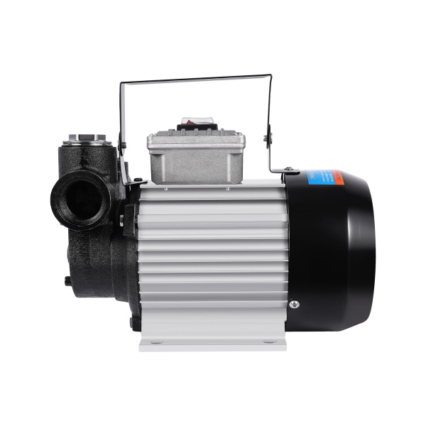 2800 Rpm Self-Priming Diesel Pump 230V 550W Bio Diesel Pump Electric Fuel Pump Fuel Pump Direct Replacement Stylish Appearance