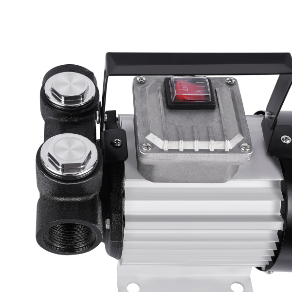 2800 Rpm Self-Priming Diesel Pump 230V 550W Bio Diesel Pump Electric Fuel Pump Fuel Pump Direct Replacement Stylish Appearance