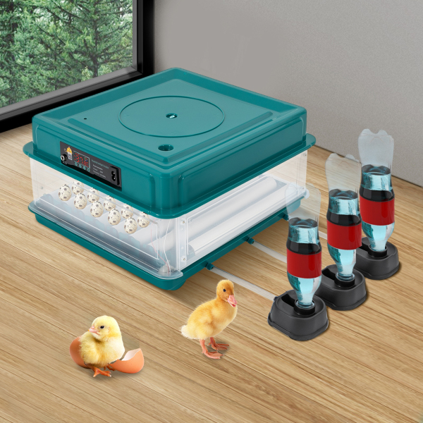 38 Fully Automatic Incubators European Standard Suitable For Commercial Use Such As Agricultural Plants And Breeding Farms 14.57*15.75*8.66in Green 38 Fully Automatic Incubators European Standard Suitable For Commercial Use Such As Agricultural Plants And Breeding Farms 14.57*15.75*8.66in Green