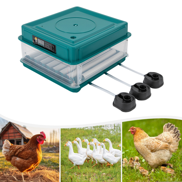 38 Fully Automatic Incubators European Standard Suitable For Commercial Use Such As Agricultural Plants And Breeding Farms 14.57*15.75*8.66in Green 38 Fully Automatic Incubators European Standard Suitable For Commercial Use Such As Agricultural Plants And Breeding Farms 14.57*15.75*8.66in Green