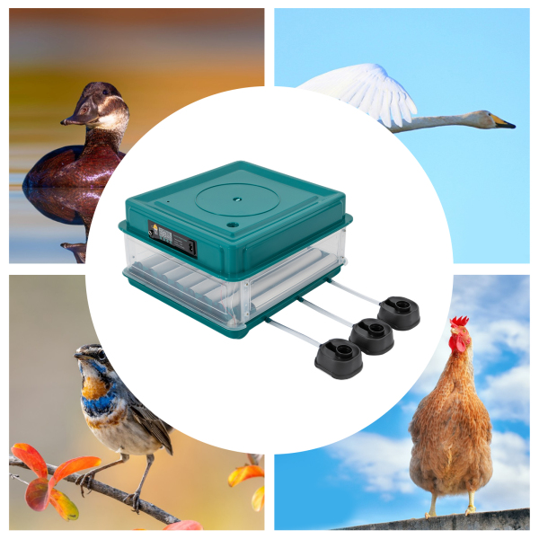 38 Fully Automatic Incubators European Standard Suitable For Commercial Use Such As Agricultural Plants And Breeding Farms 14.57*15.75*8.66in Green 38 Fully Automatic Incubators European Standard Suitable For Commercial Use Such As Agricultural Plants And Breeding Farms 14.57*15.75*8.66in Green